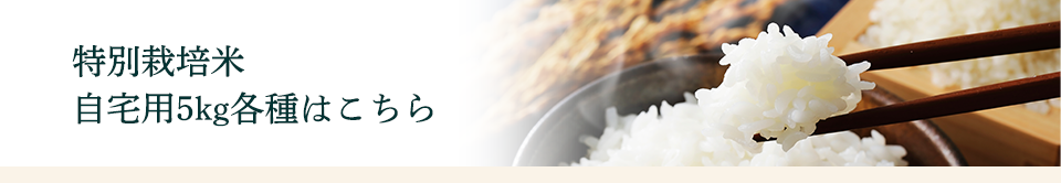 ���̺����� ������5kg�Ƽ�