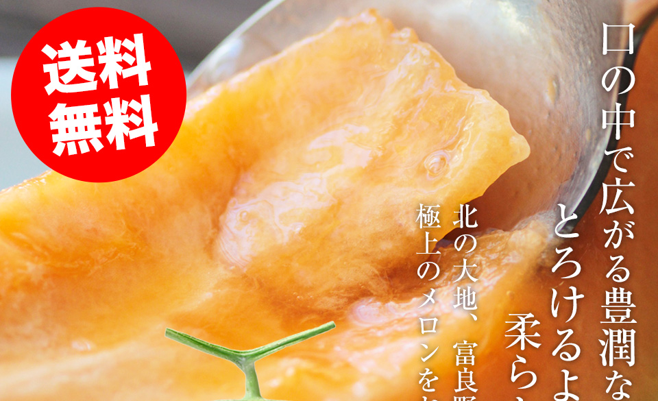 北海道 赤肉 メロン